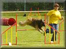 agility Opočno