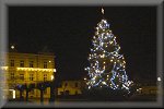 vánoční strom na Kupkově náměstí v Opočně při vichru