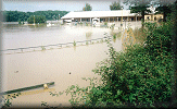 Flooded swiming pool.
 Click to see more 1998 flood views.