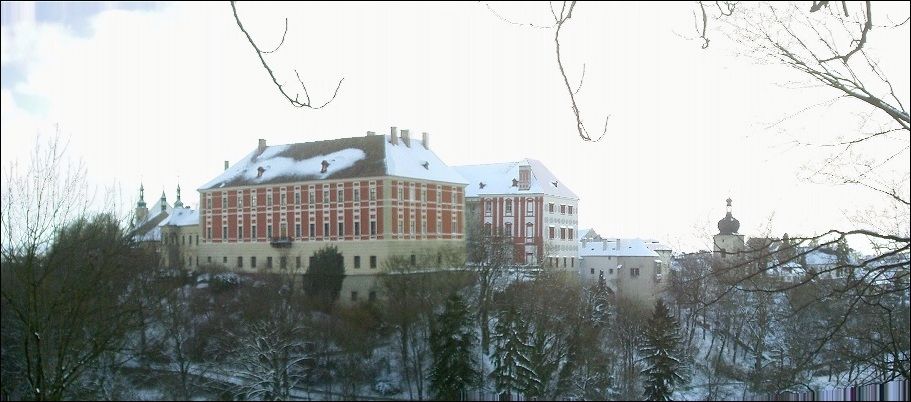 Castle - winter panorama